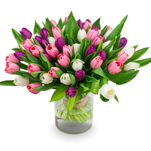 Kytice  tulipánů